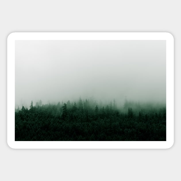 Misty Mountain Forest in the Rain Sticker by Amy-K-Mitchell